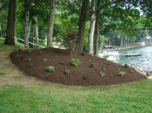 Shade flower bed, Radford VA